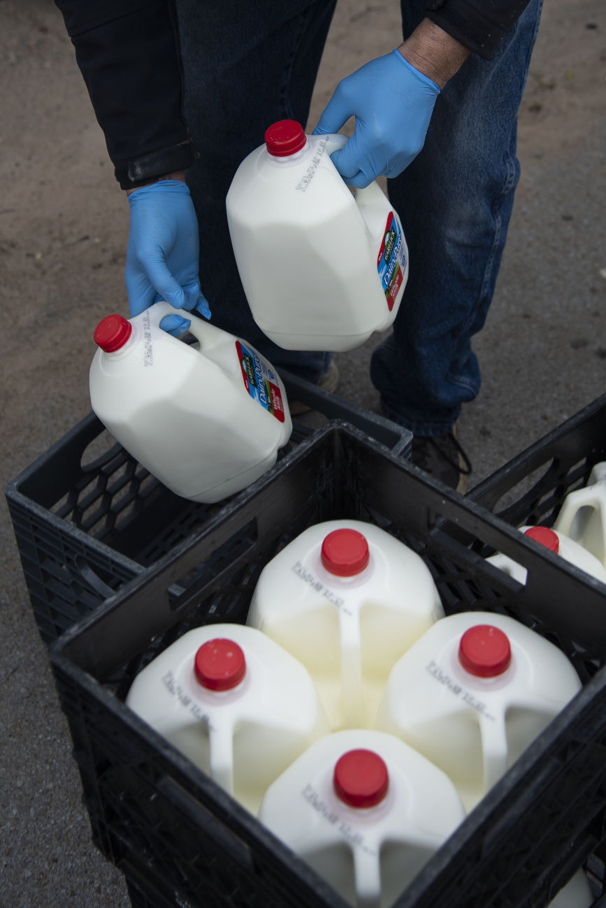 Mobile Dairy Day Friday
